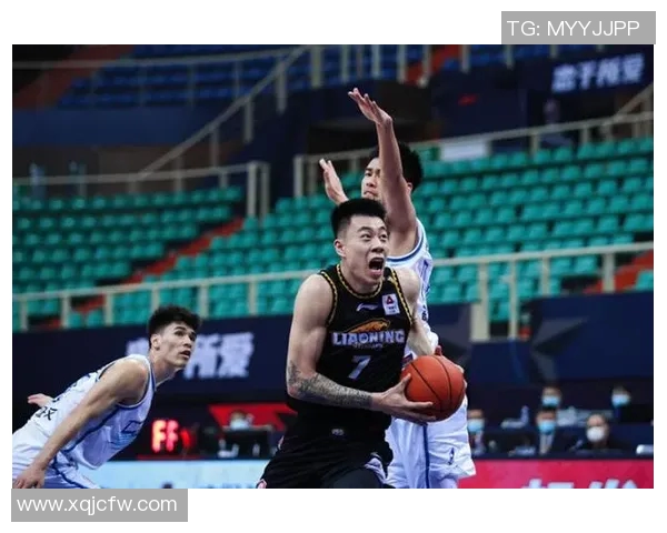 11月5日江苏对辽宁精彩对决现场回顾与赛后分析